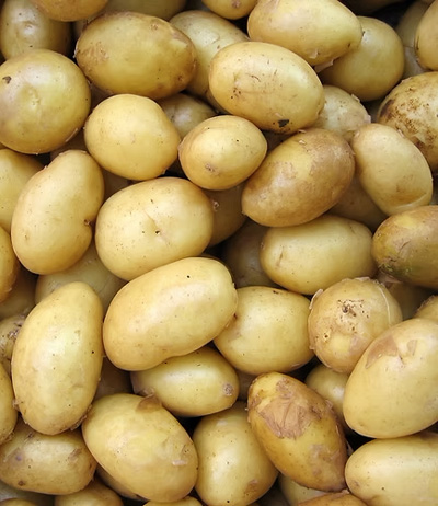 Obrázek 1